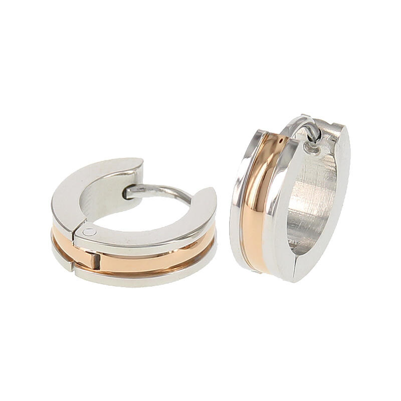 Oorbellen bicolor zilver met inleg